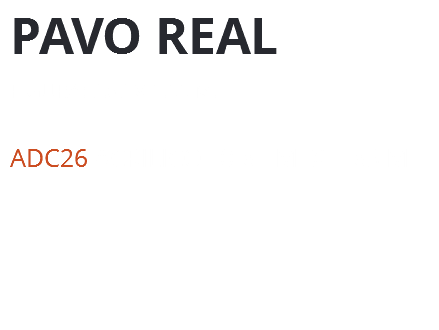 pAVO REAL Figura: 0.60 x 1.55 m. ADc26 Acrílico 0.81 m. x 1.83 m.